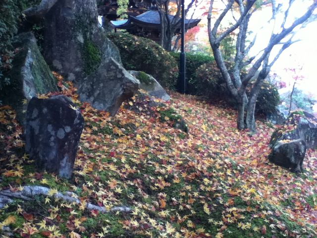 �̂ю�т�������1�����ƁB_�吹�@