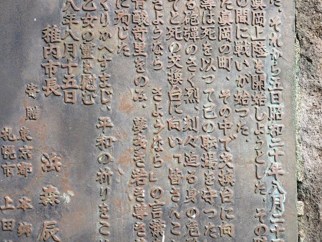 �ē���_��l�̉����̔�