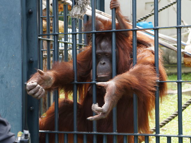 �a�̗v���������Ċϋq�𕦂����܂��B_���R������