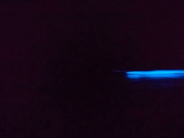 ����Ȃɂ������Ƃ́A�m��܂���ł����B_���C��