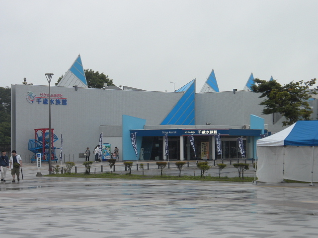 �O��_�T�P�̂ӂ邳�Ɛ�ΐ�����