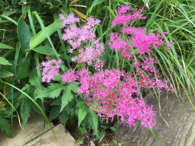 �V���c�P�\�E_���n�ܗ����R�A����