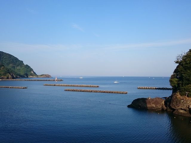 ����C������_����C������