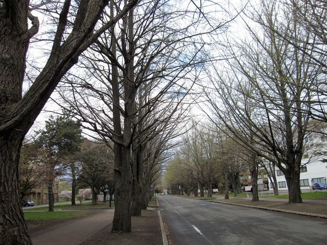 2016�N5���S���B�e�j�k�C����w�L�����p�X���u�C�`���E���؁v_�k��C�`���E����