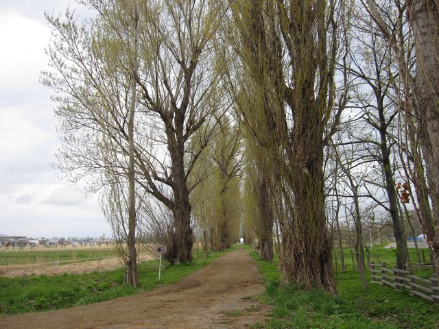 2016�N5���S���B�e�j�k�C����w�L�����p�X���u�|�v�����؁v_�k��|�v������