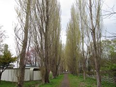 񂳂̖k|v؂ւ̓eʐ^1