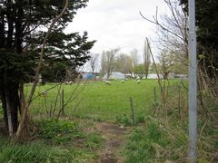 񂳂̖k|v؂ւ̓eʐ^5