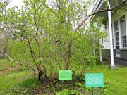 񂳂̑ʌ̃CbN̓eʐ^1