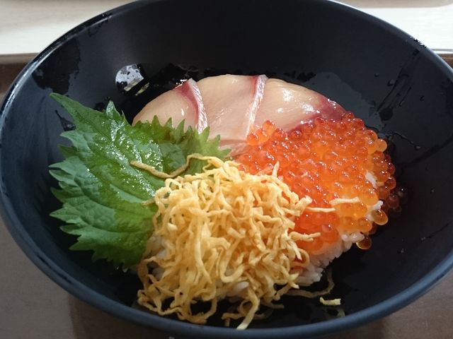 �Ԃ�̊C�N��_�����s��