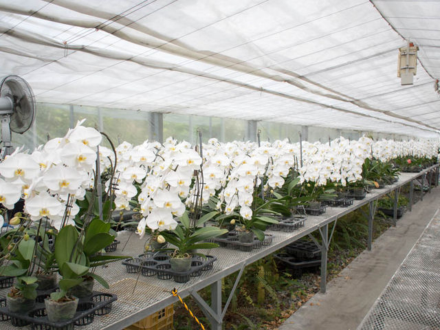 Ƃ炤Ă͂ނ̌mZ^[̓eʐ^1