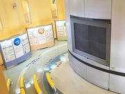 36̓ʌq͔dPR{݃ggDrbW̓eʐ^1