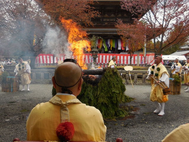 ���傤�ǂ��������ɖK��܂����B_���{�R�@�����R��