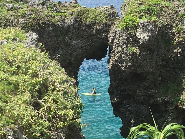 �Y��Ȍi�F_������