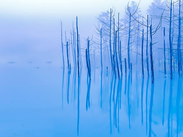 �����◧�����߂�_���r