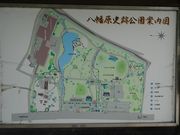 L̔jՌi쒆Ðj̓eʐ^2