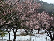 ̂肼[̌Iь̔~̓eʐ^1