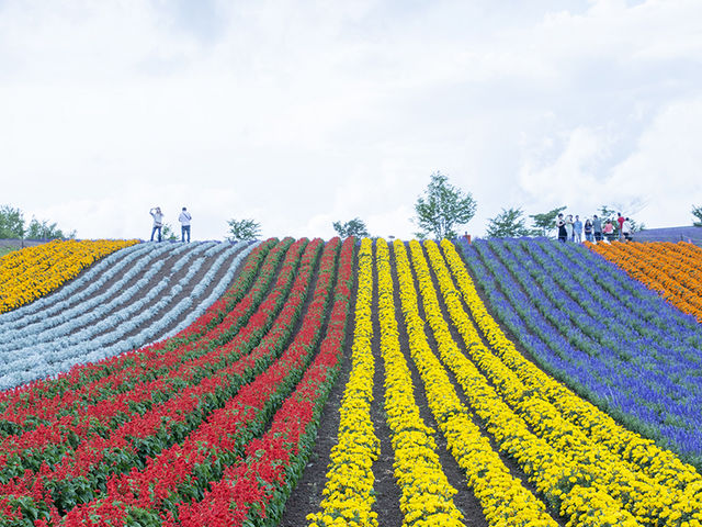 �X�g���C�v�̋u�̏�ŁA�y���ސl�����B
_�l�G�ʂ̋u