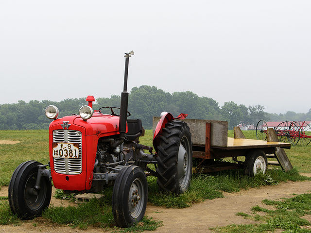 jZRE~NH[BX̊Oɂ͖kC炵IuWFB_qjZR~NH[