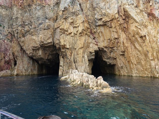 �C���ό��V���D���@�v�w��_�C��