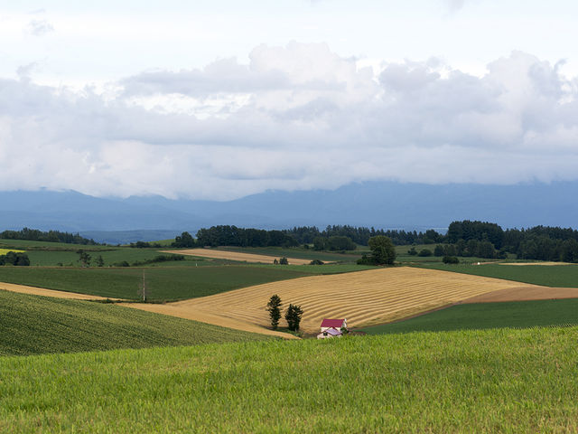 �p�b�`���[�N�̒��ɁA�Ԃ������̉����ƁB_�p�b�`���[�N�̘H