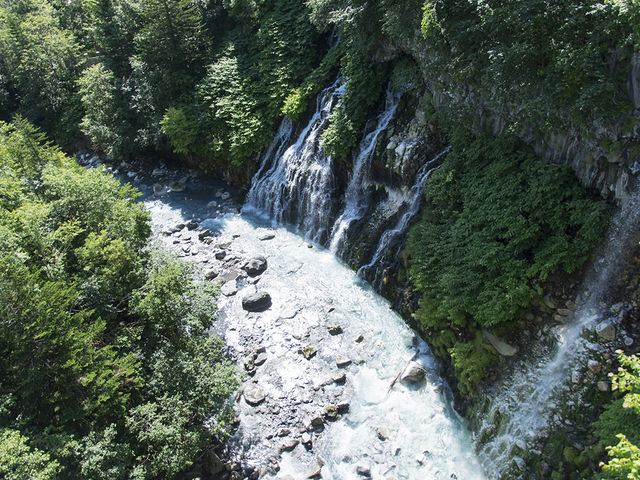 ���̏ォ�猩�邵��Ђ��̑�B�����u���[�Ɍ�����B���̂́u���r�v��������Ȃ������B_���Ђ��̑�