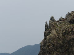 񂸂̐CN[Yւ̓eʐ^1