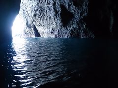 Q|egQ̏M̓AN[Yւ̓eʐ^1