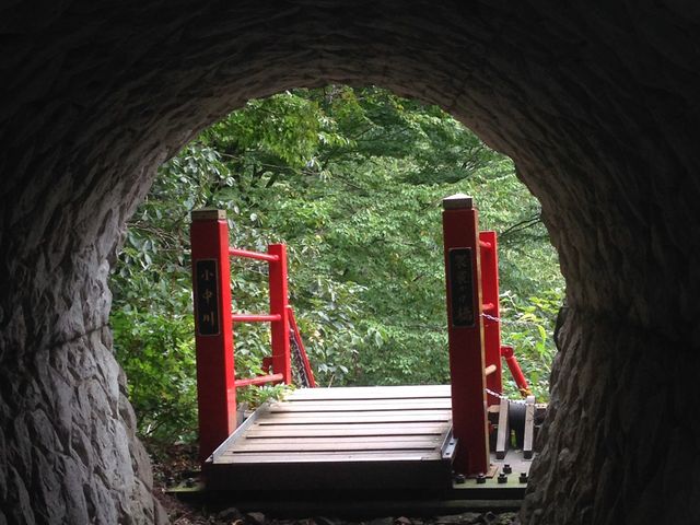 �ʐ��E�ւ̓����_�������