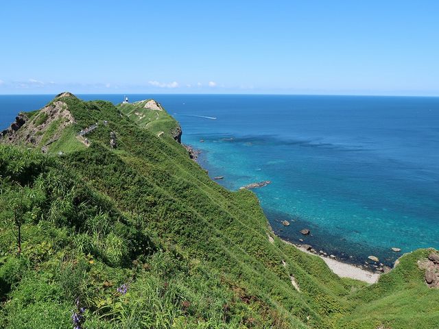 �_�Ж�_�_�Ж�