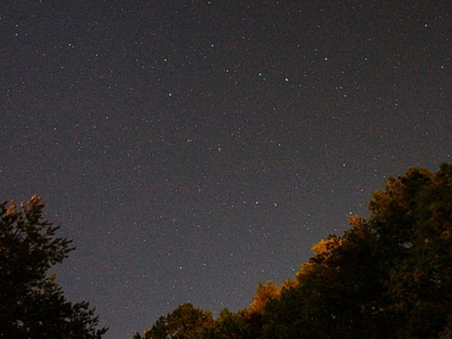 masaoB̃zeArGgܖ̓eʐ^2