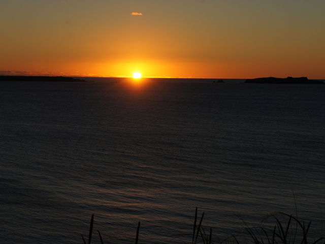 XRgƃgh̊Ԃɒޗ[_J^NV[`XRg`C