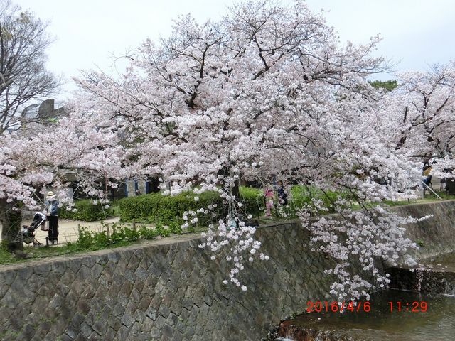 �g��̐�ʂƖ��J�̍�_�g��͐�~�Βn�i�g������j