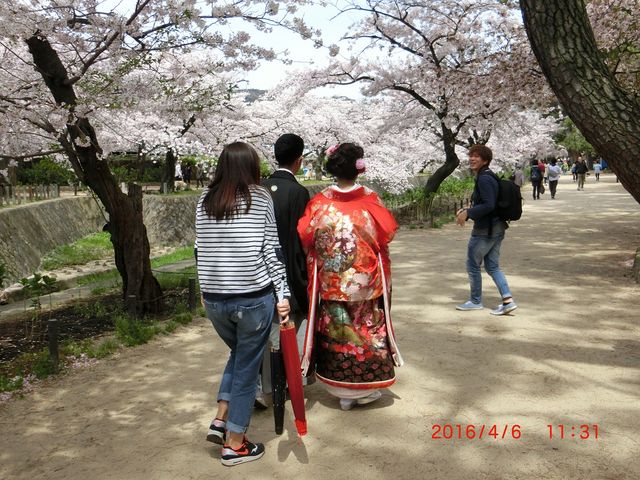 �ԉłƉԖ��ƍ�_�g��͐�~�Βn�i�g������j