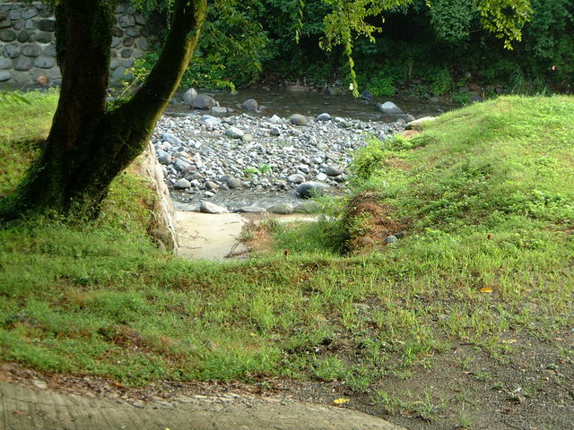 Ԃ񂳂̔˂̒n̗̓eʐ^2