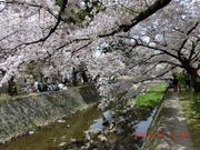 񂳂̏g͐~Βnigj̓eʐ^2