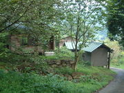 Ԃ񂳂̔˂̒n̗̓eʐ^1