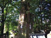 hama.hama̓̃VimL̓eʐ^2