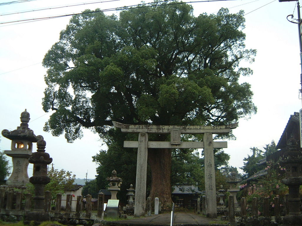 柳川・八女・筑後の観光スポットランキングTOP10 - じゃらんnet