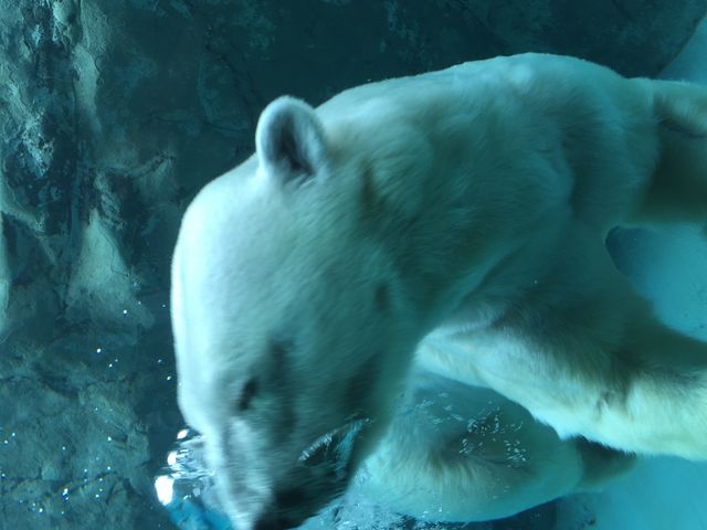 �z�b�L���N�O�}���������ė����I_���R������