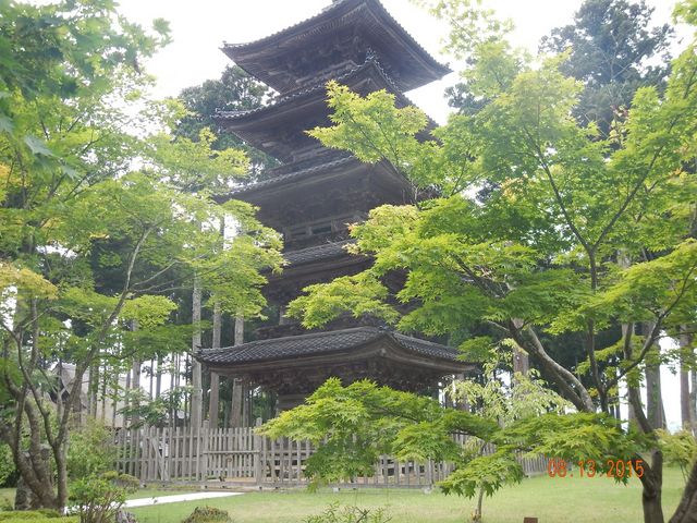 越後佐渡　古寺名刹　新潟日報 楽天市場】【新潟米 令和6年産】 佐渡産 コシヒカリ 特別栽培米