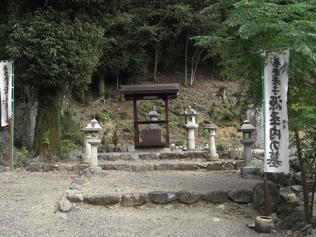 �߂��ڂڂ���̍F�q�̕�̓��e�ʐ^1