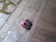 �`���v����̒��w���̓��e�ʐ^1