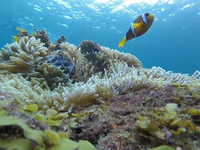 �j�������o�}��_�G�R�T�[�t�@�[