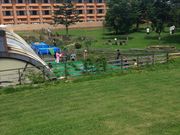 ЂЂЂ̃hbO][g@Woof̓eʐ^1