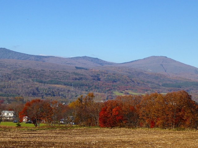 H27.11.01 �H�c���E������_������