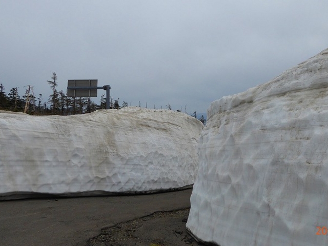 H27.05.09 �H�c���E������_������