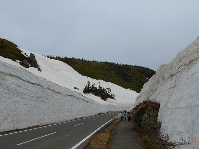 H27.05.09 �H�c���E������_������