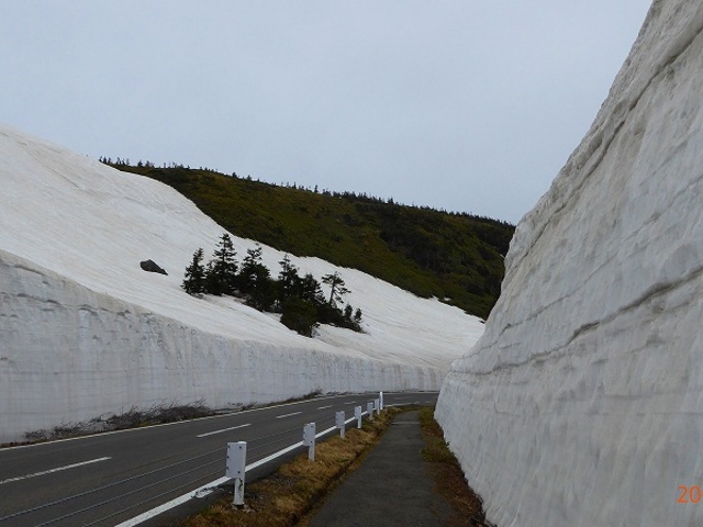 H27.05.09 �H�c���E������_������