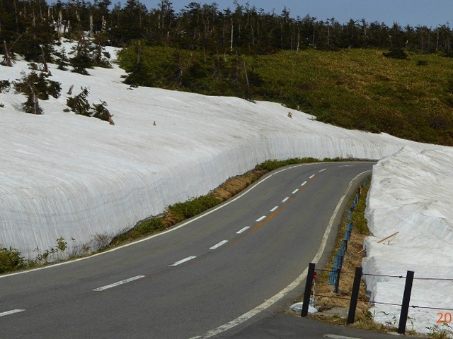 H27.05.09 �H�c���E������_������