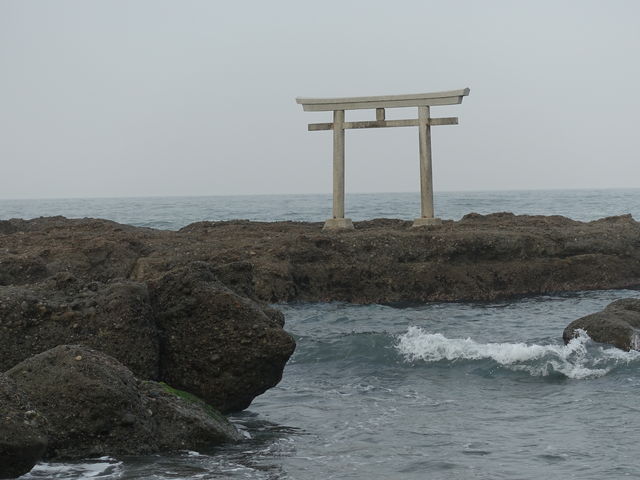 ��ۓI�Ȍ��i�ł�_�_�钹��